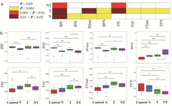 細菌-真菌cohesion-2