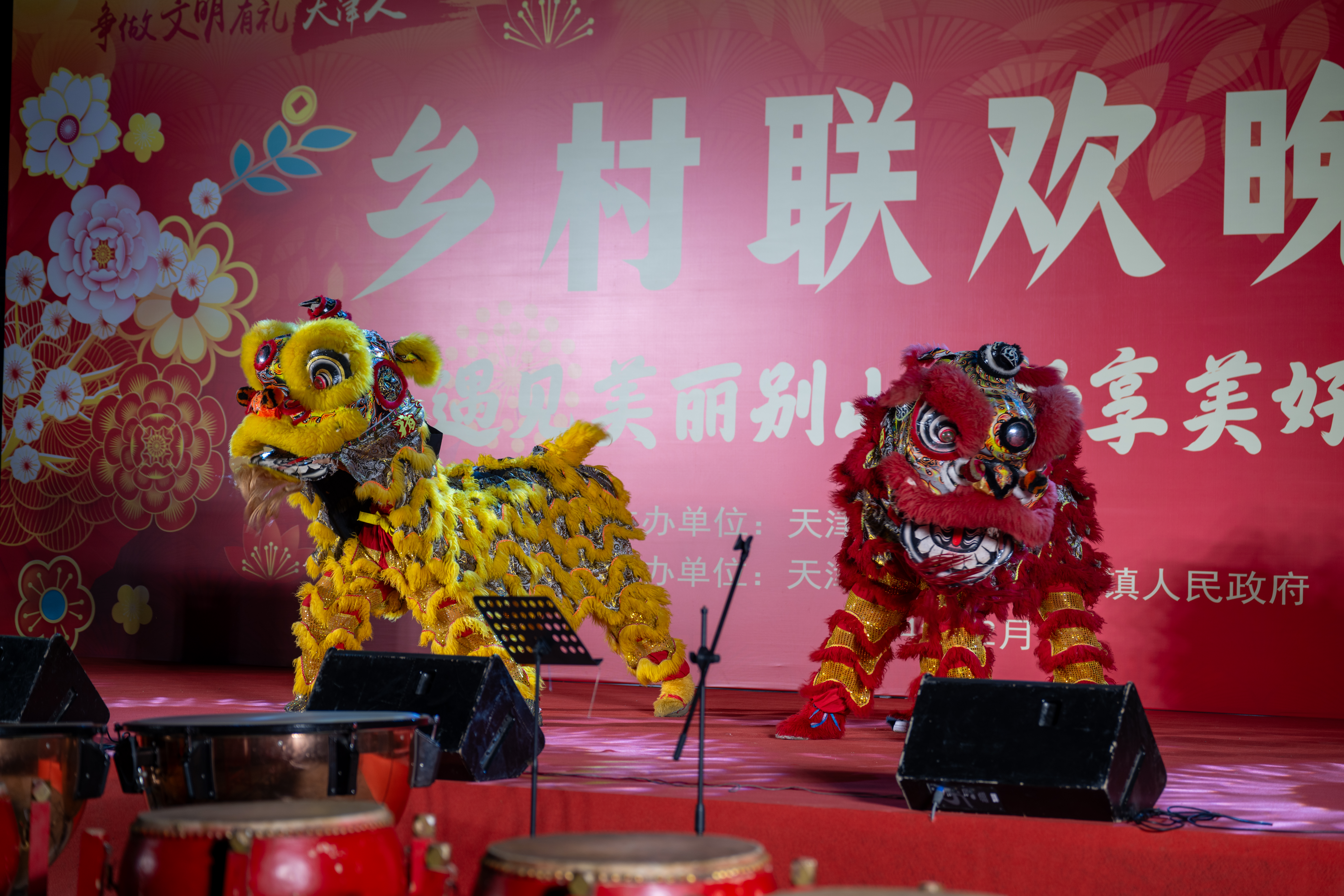 天津師范大學赴薊州區(qū)別山鎮(zhèn)舉辦鄉(xiāng)村聯(lián)歡晚會