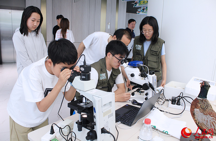 參觀者觀察動植物標本。人民網記者 張靜淇攝